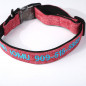 Embroidered Personalized Dog Collar, Cat collar Custom Pet Name+Number