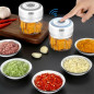 Electric 300ML Garlic Press Chopper Chili Onion Fruits Meat Mincer Blender Mixer