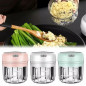 Electric 300ML Garlic Press Chopper Chili Onion Fruits Meat Mincer Blender Mixer