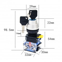 440V 10A 22mm Dia Thread DPST 2 Positions Key Rotary Selector Switch