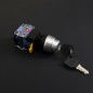 440V 10A 22mm Dia Thread DPST 2 Positions Key Rotary Selector Switch
