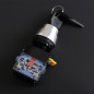 440V 10A 22mm Dia Thread DPST 2 Positions Key Rotary Selector Switch