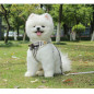 Bow tie Breathable Small Dog Cat Pet harness Vest Collar Chest Strap Leash XS-XL