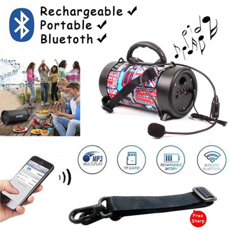 Portable Bluetooth Speaker Indoor/Outdoor, FM Radio, USB Port，Microphone