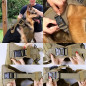 Tactical Dog Vest Harness – Military K9 Dog Training Vest –Working Dog+Leash