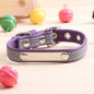 Personalized reflective Leather Dog Collar with name plate XS S M L XXL