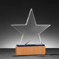 Custom Engraved Glass Awards and Trophies for Teachers, Retirement, Appreciation