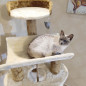 57" Cat Tree Scratching Condo Kitten Activity Tower Playhouse W/ Cave & Ladders