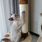 57" Cat Tree Scratching Condo Kitten Activity Tower Playhouse W/ Cave & Ladders