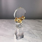 Trophy-Crystal Glass Award for Graduation,Award Plaque,Retirement Plaque