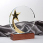 Engraved Trophy - Crystal Disc - Star - Comes in Gift Box - Award for Employees