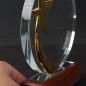 Engraved Trophy - Crystal Disc - Star - Comes in Gift Box - Award for Employees