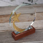 Engraved Trophy - Crystal Disc - Star - Comes in Gift Box - Award for Employees