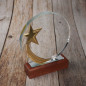 Engraved Trophy - Crystal Disc - Star - Comes in Gift Box - Award for Employees