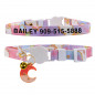 Qute Cat Collar Custom Personalised Safety Kitten with Name ID Tag Adjustable