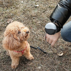 10FT Retractable Dog Cat Leash Lead Automatic Rope Walking Traction Puppy Pet