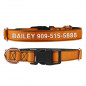 Small Medium Large Personalized Dog Collar Engraved ID Tag Custom Name