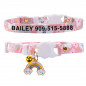 Qute Cat Collar Custom Personalised Safety Kitten with Name ID Tag Adjustable