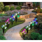 4 PACK Solar Lily Flower Lights Outdoor Garden Stake LED Landscape Decor Lamp US