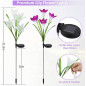 4 PACK Solar Lily Flower Lights Outdoor Garden Stake LED Landscape Decor Lamp US