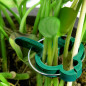 20-60 PCS PLANT & GARDEN CLIPS Support Tomato Vegetable Trellis Twine Ties