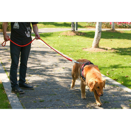 Retractable nylon rope Dog Leash for large dog Heavy duty coupler