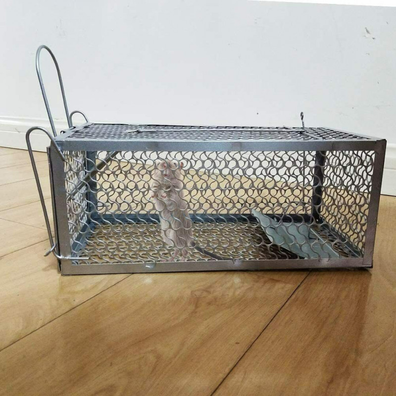 Live Humane Cage Trap for rats mice chipmunks rodents small animal Pest