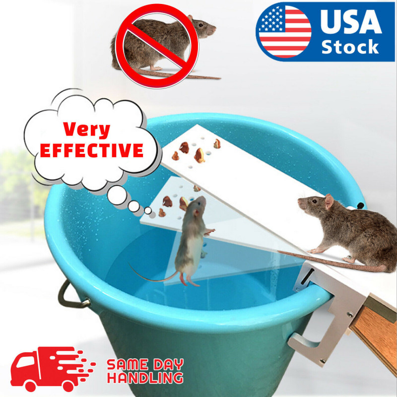 The Walk Plank Mouse Trap - Auto Reset Squirrel Rats Bait Rodent Mice Catcher