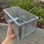 2X Rodent Animal Mouse Humane Live Trap Hamster Cage Mice Rat Control Catch Bait