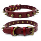Spiked Studded Rivet Leather Dog Collar Pet Collar XS/S/M/L