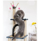 53" Cat Tree Activity Tower Pet Kitty Furniture with Cave Scratching Posts