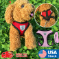 Mesh Breathable Dog Harness and Leads Pet Puppy Adjustable Leash Vest