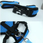 Mesh Breathable Dog Harness and Leads Pet Puppy Adjustable Leash Vest
