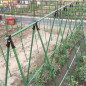 10-50pcs 11mm Garden Plant Support Bracket Connector Plant Climbing Pole