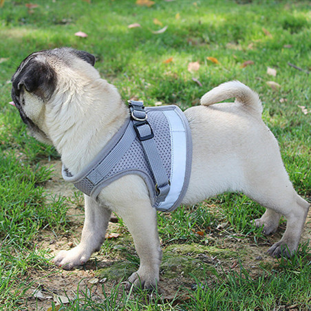 Small Dog Breathable Mesh harness Vest Collar soft chest strap XXS-L Leash set
