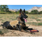 Tactical Police K9 Training Dog Harness Military Adjustable Nylon Vest Leash